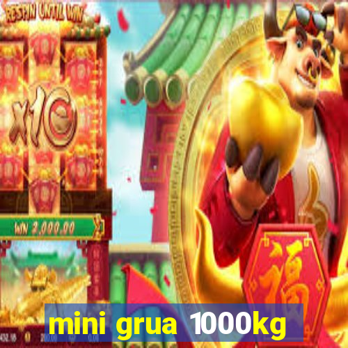 mini grua 1000kg